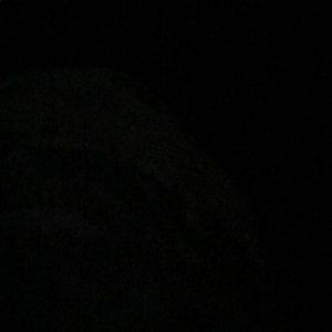 Meet your Posher, Stevie